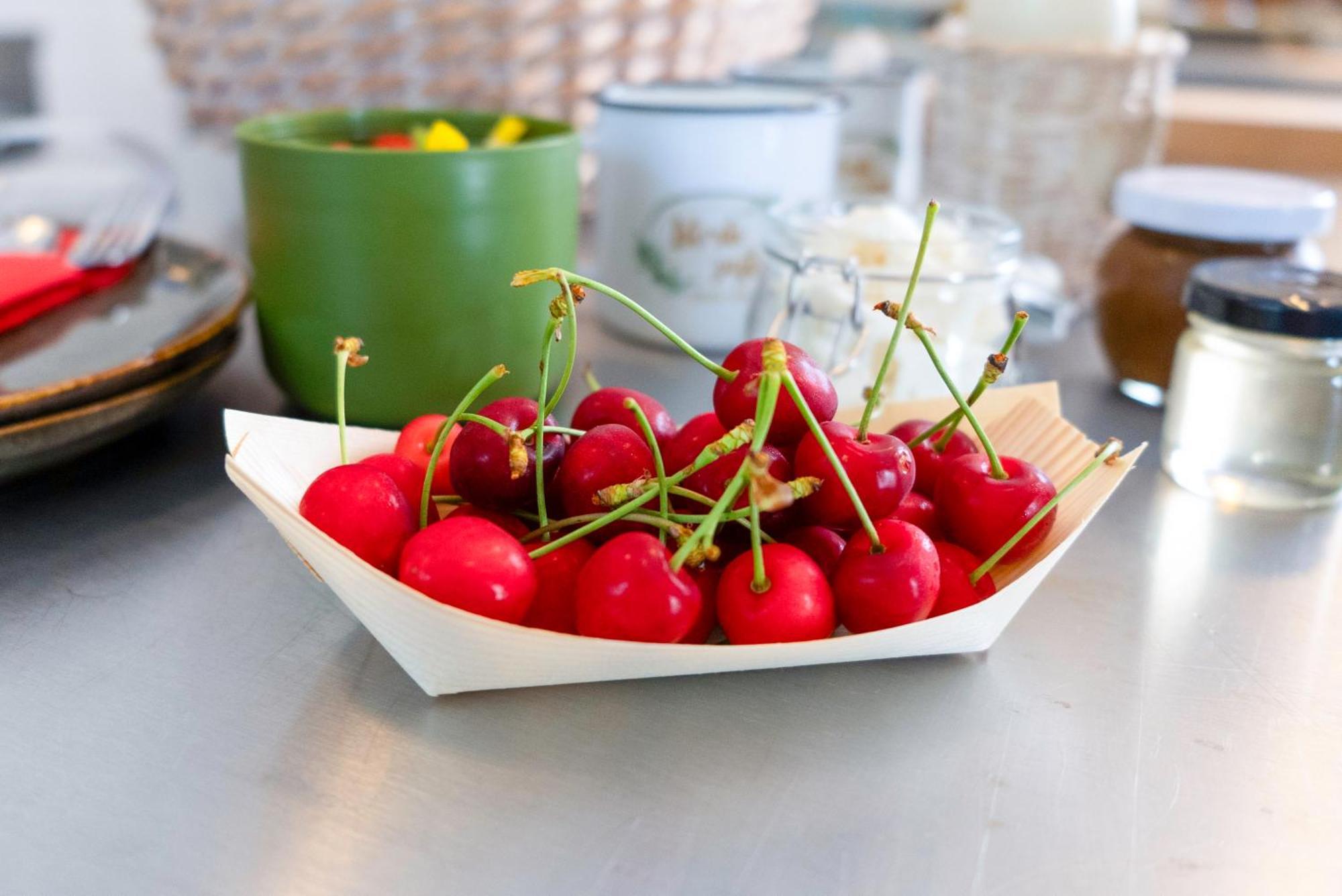 Guesthouse Green Istria Truske Luaran gambar