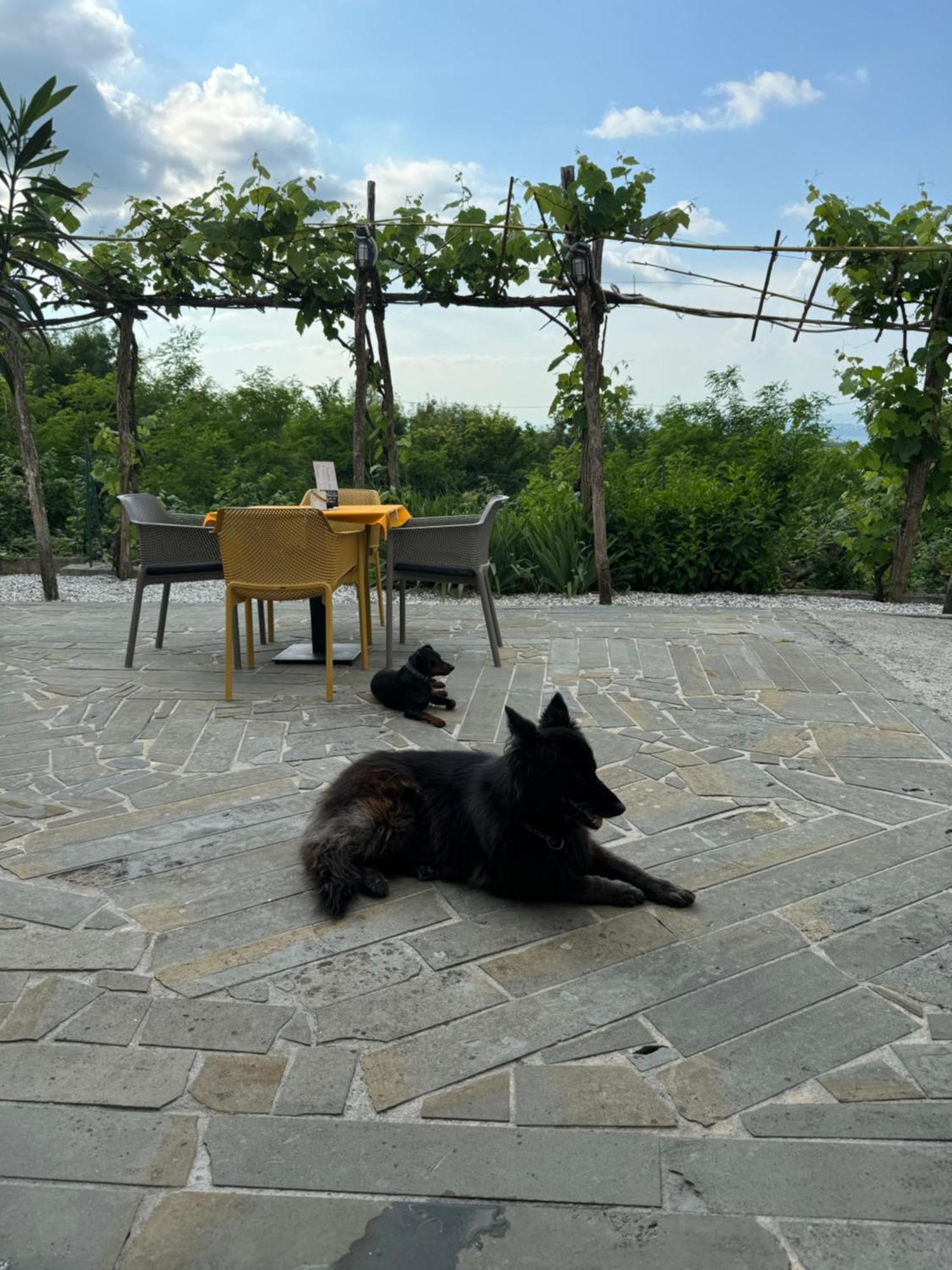 Guesthouse Green Istria Truske Luaran gambar