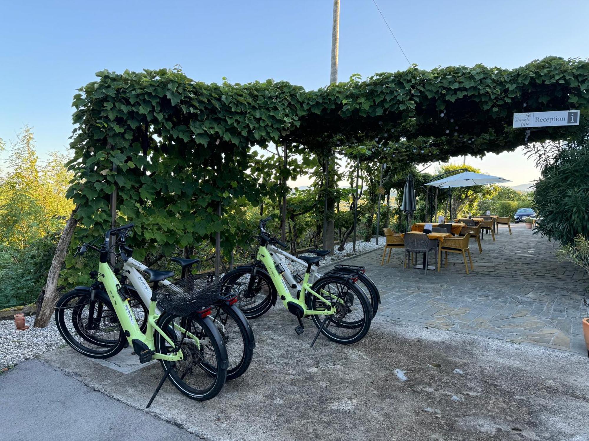 Guesthouse Green Istria Truske Luaran gambar
